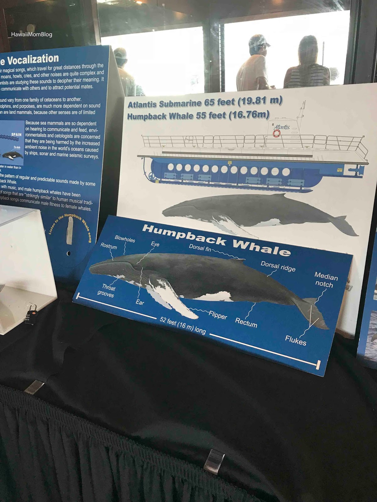 Feel free to roam our three luxuriously appointed decks … Hawaii Mom Blog Atlantis Adventures Majestic Whale Watching Experience