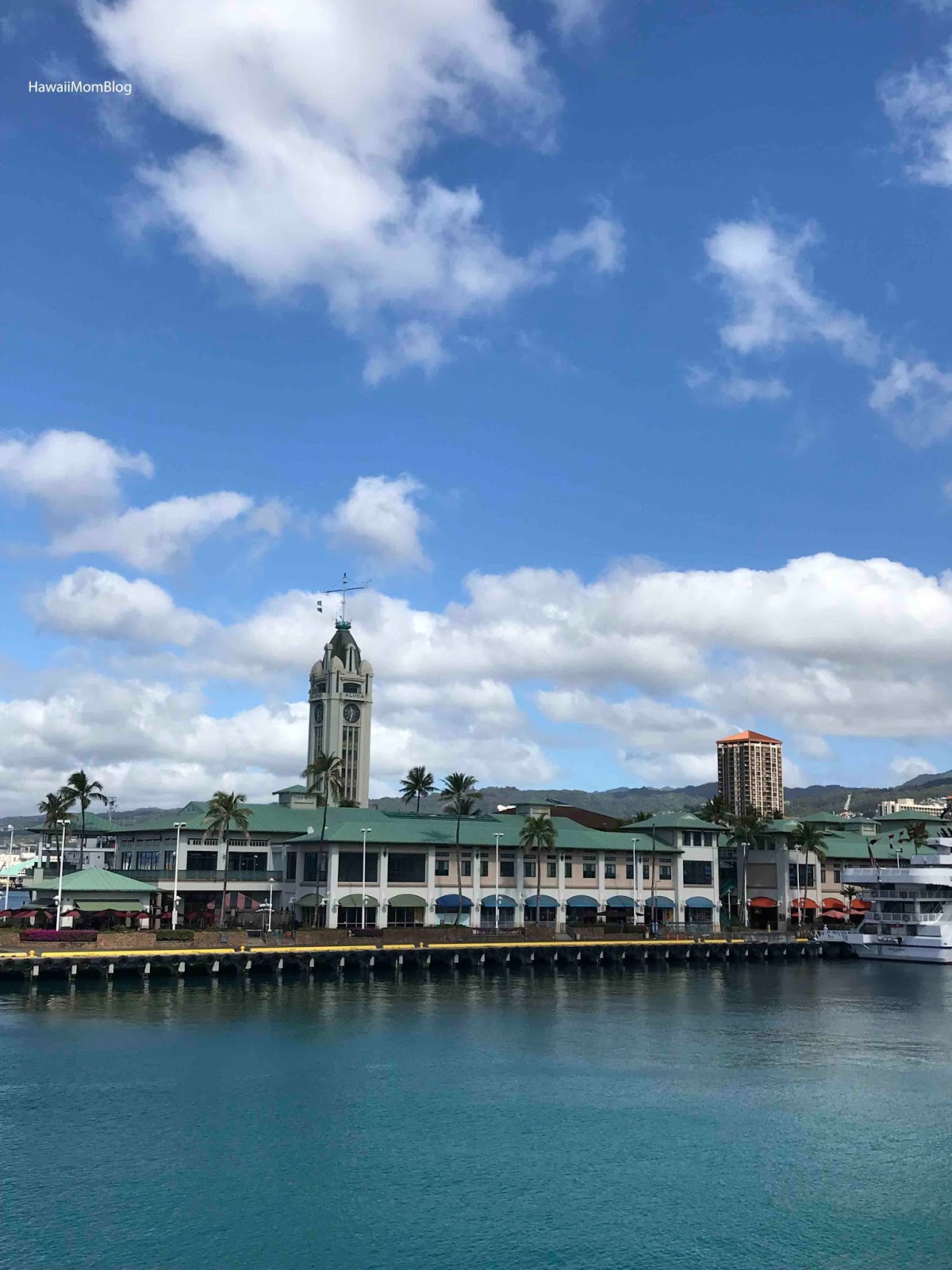 See spectacular sunset views or enjoy a seasonal whale watch cruise aboard majestic by atlantis. Hawaii Mom Blog Atlantis Adventures Majestic Whale Watching Experience