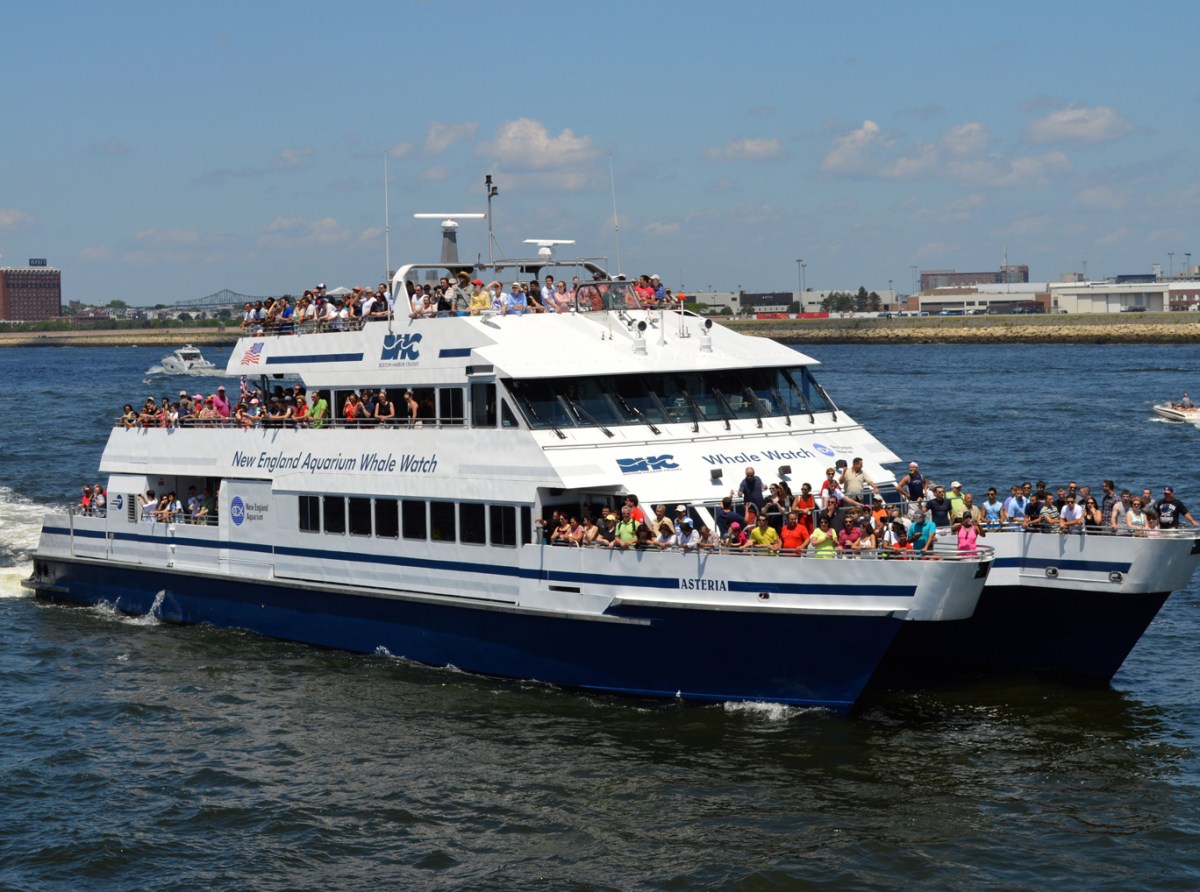 Take the provincetown fast ferry from boston's centrally . Cape Cod Weekend Getaway By Bike Ferry And Train Bikabout
