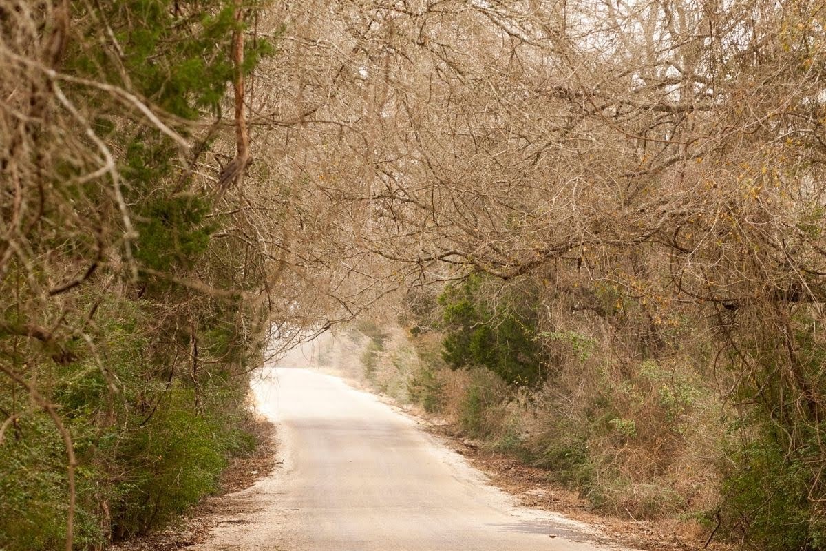 Photo Or get a full austin to boston flight plan. The Best Places To Stop On A Houston To Austin Drive