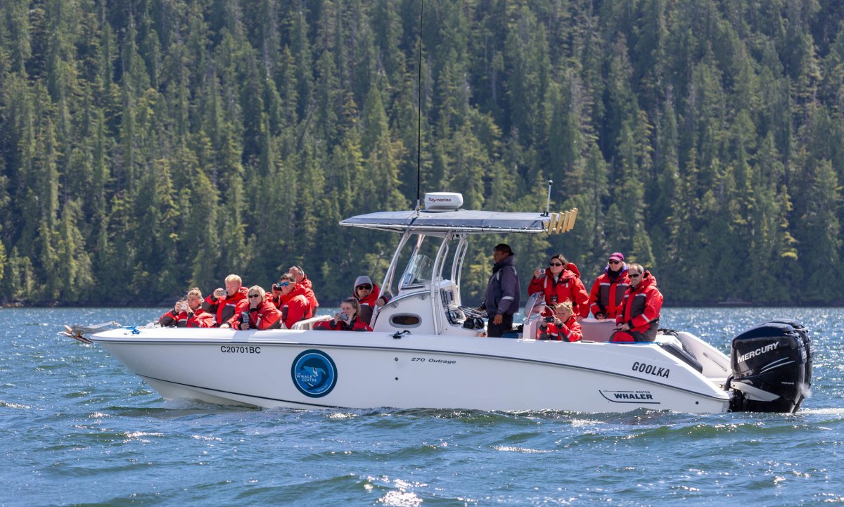 Down cape charters wequassett resort harwich, ma Private Tour Charters Tofino The Whale Centre Tofino Bc